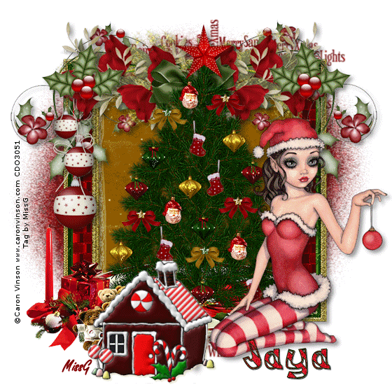 Christmas House_Jaya