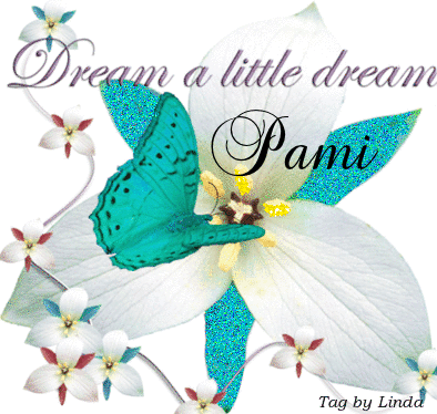 PAMI