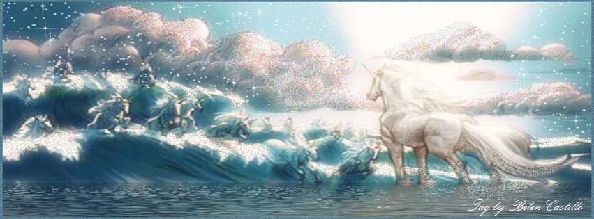 The last unicorn