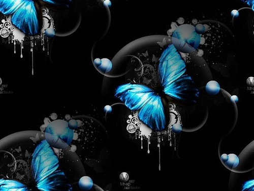 Butterfly