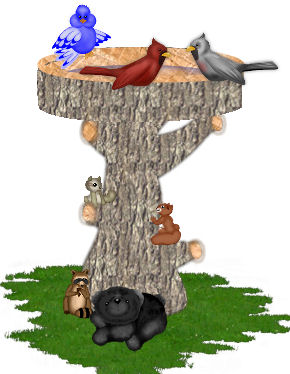 Woodland Bird Bath