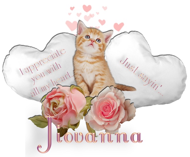 Appreciate You- Jiovanna