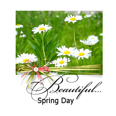 Spring Day