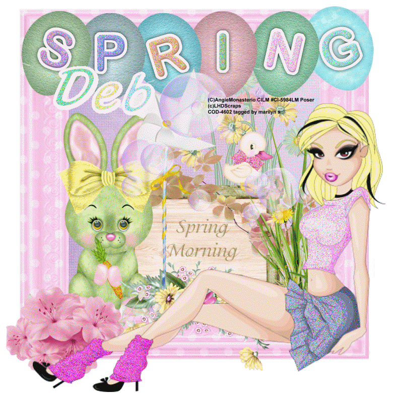 Spring/spring morning/Deb
