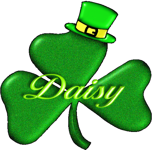 Daisy