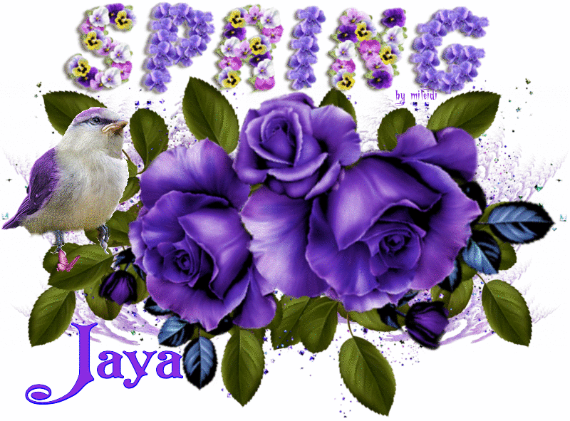 Glitter Text Â»  -Jaya