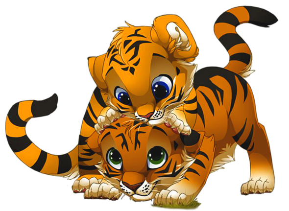 Baby Tigers