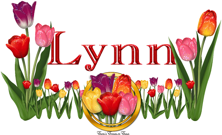 Lynn Tulip Garden