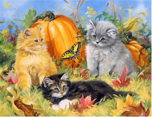 Kittens