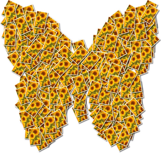 Sunflower Butterfly