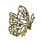 Lil Golden Butterfly