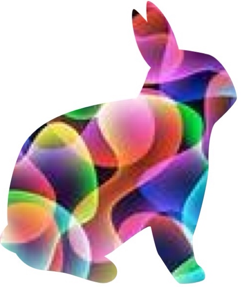Colorful Bunny