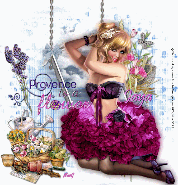 Provence is a flower_Jaya