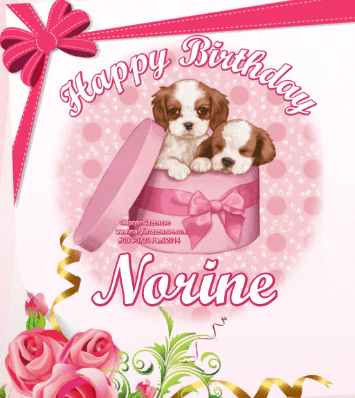 Happy Birthday Norine