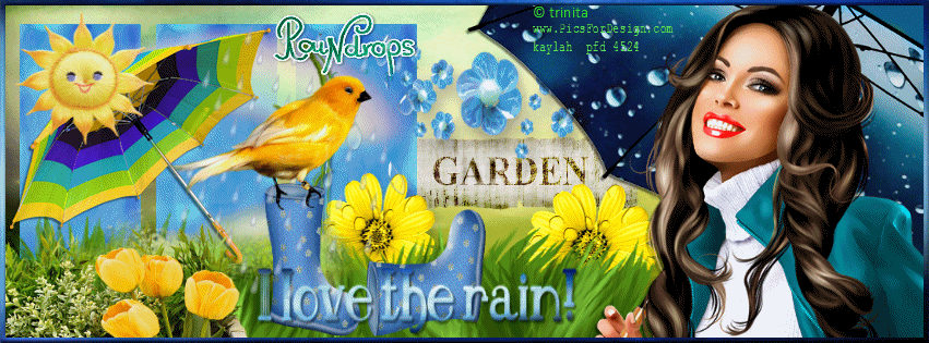 rain