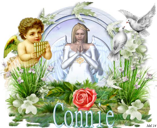 Connie