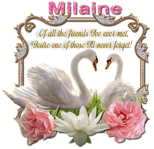 Never Forget you- Milaine