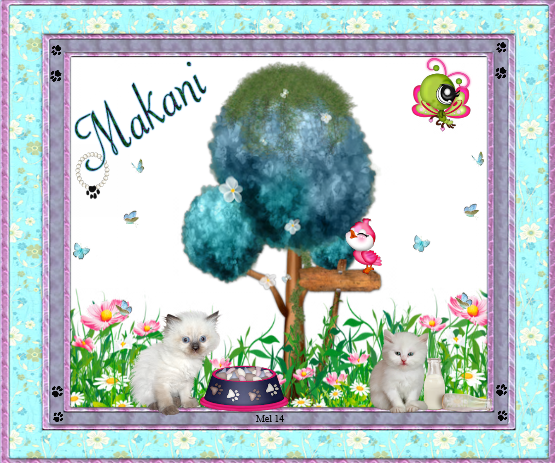 Makani