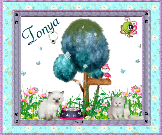 Tonya