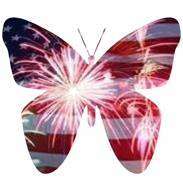 American Butterfly