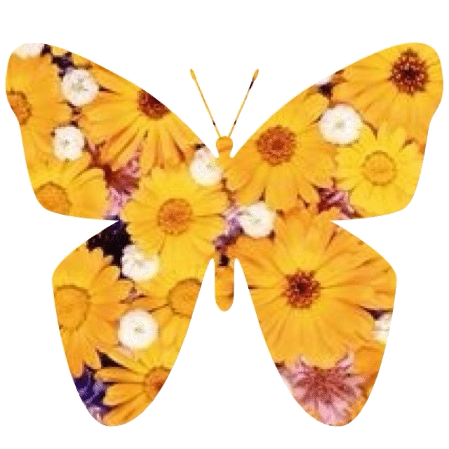 Flower'd Butterfly