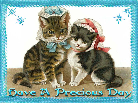 Have A Precious Day -Cats