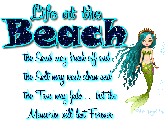 Life at the Beach