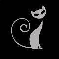 Kitty