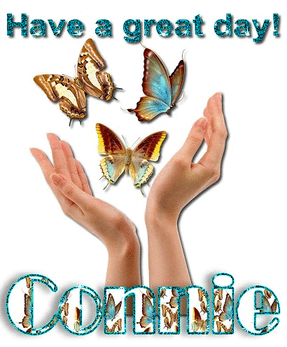 Great Day with Butterflies-Connie