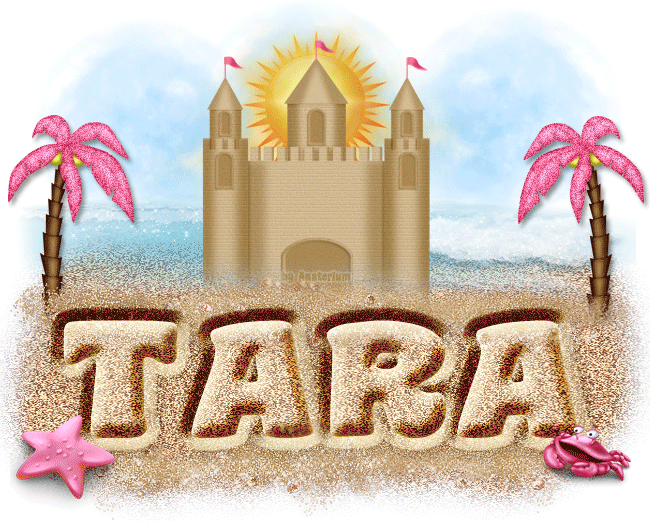 Tara-Sand Castle