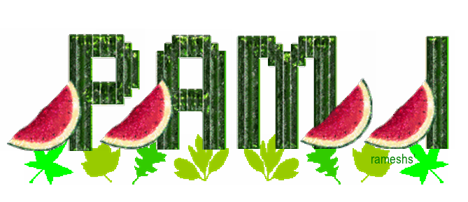 Pami
