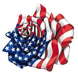 American Rose