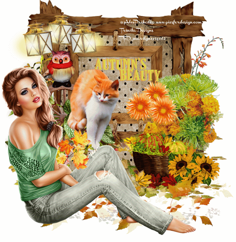 Autumn's Beauty