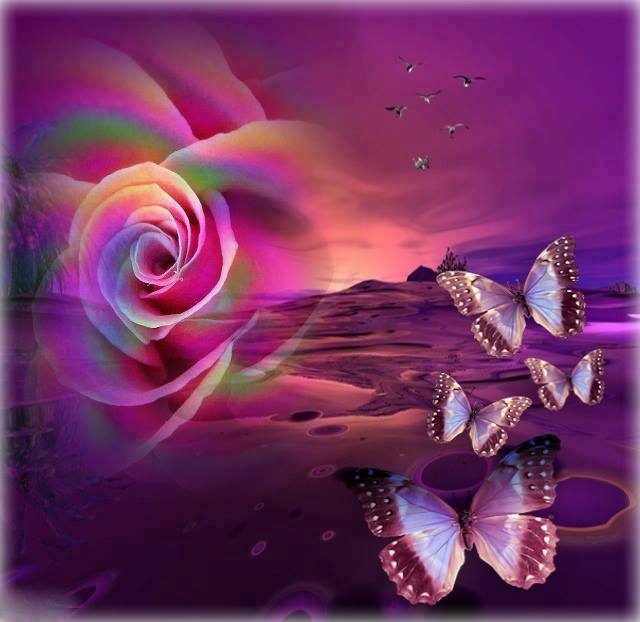 Rose
