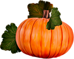 Pumpkin