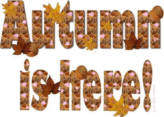 AUTUMN IS HERE