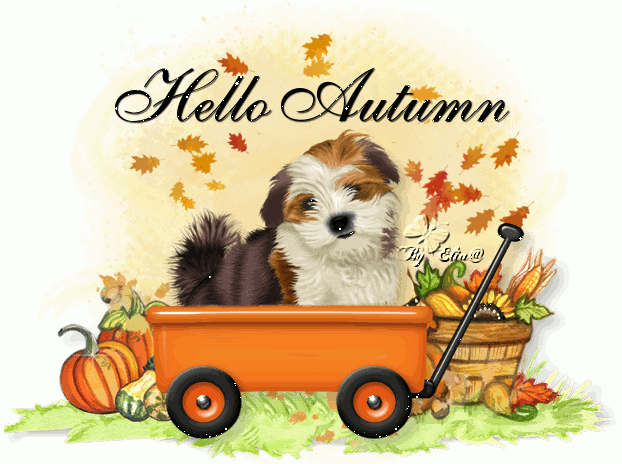 Hello Autumn