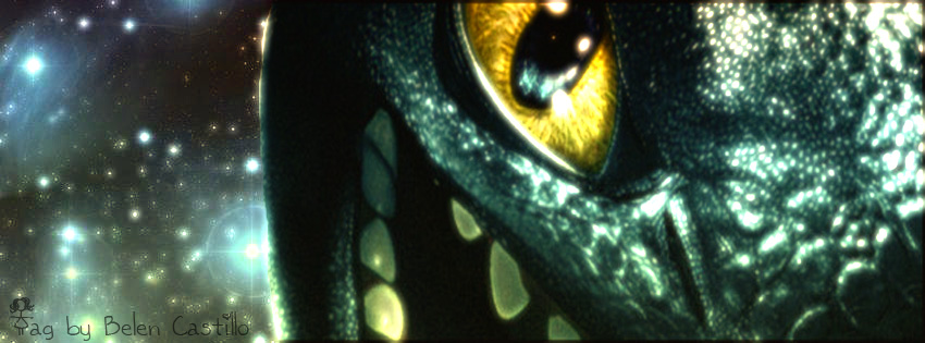 How to train your Dragon