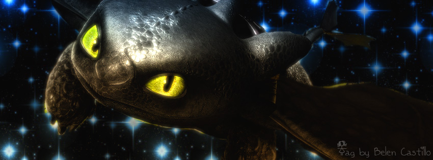 How to train your Dragon