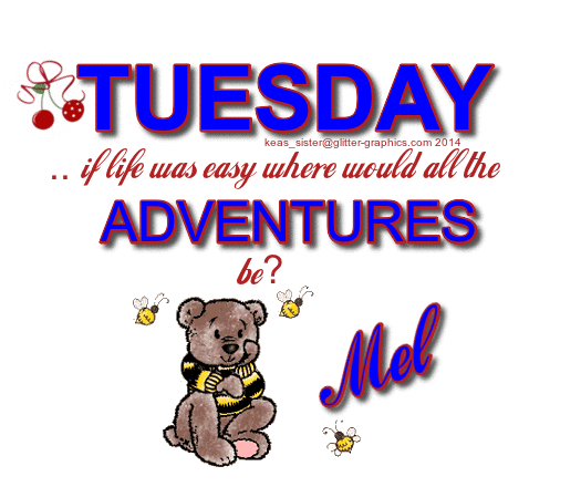 Mel - Tuesday - Bear