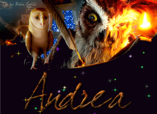 GaÂ´hoole - Andrea