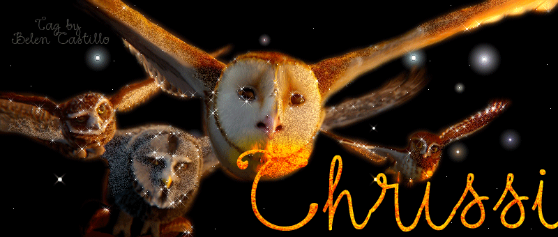 GaÂ´hoole - Chrissi