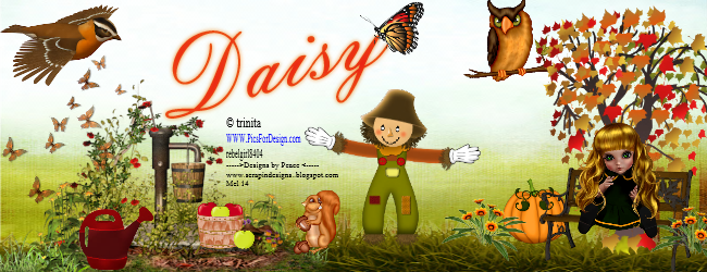 Daisy
