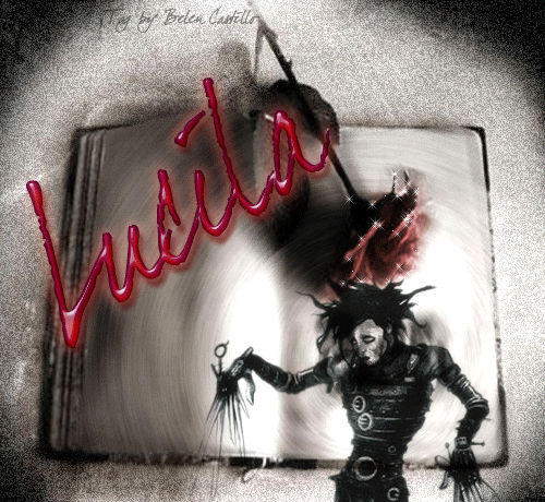 Edward Scissorhands - Lucila