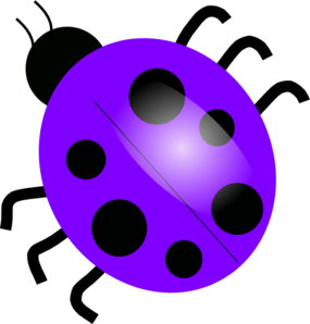 Purple Ladybug