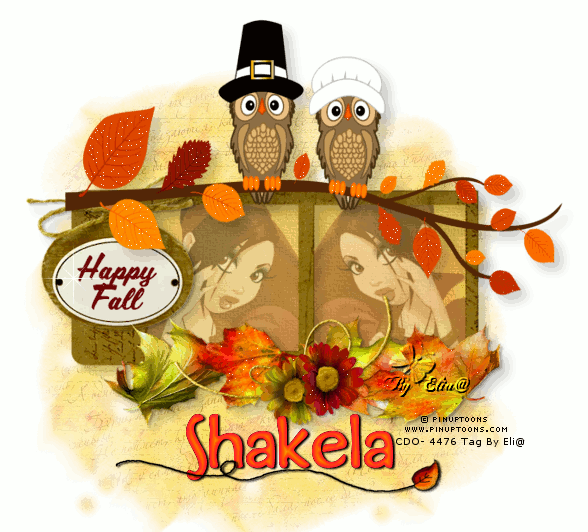 Shakela