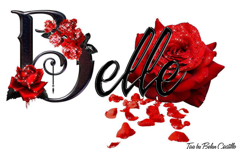 Red Roses - Belle