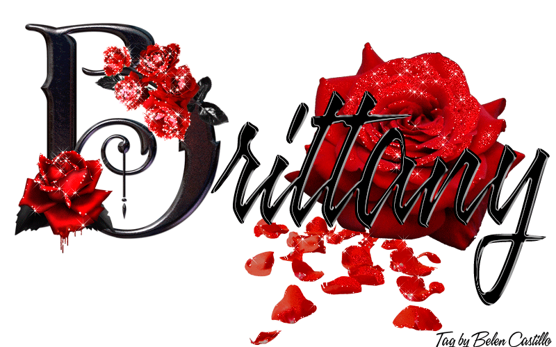 Red Roses - Brittany