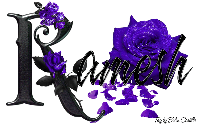 Violet Roses - Ramesh