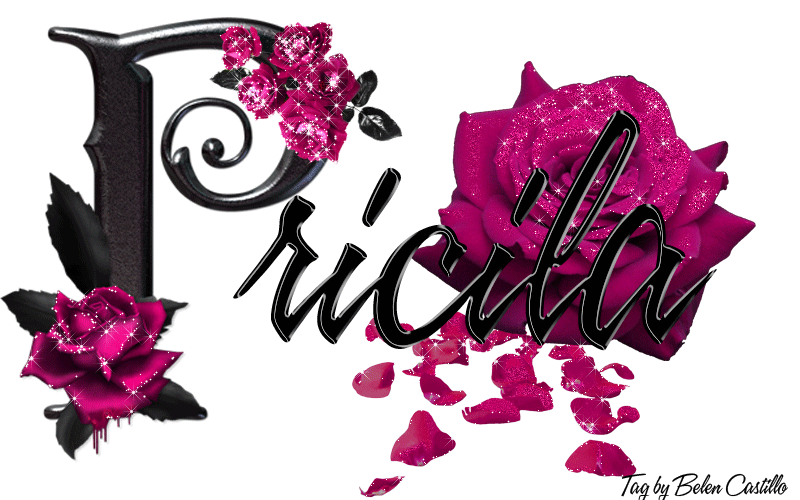 Pink Roses - Pricila